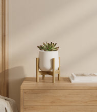 Load image into Gallery viewer, White stand:bamboo