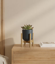 Load image into Gallery viewer, Iron Gray stand:bamboo