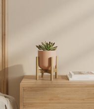 Load image into Gallery viewer, Sandy Pink stand:bamboo