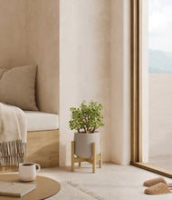 Load image into Gallery viewer, Eternal Gray stand:bamboo