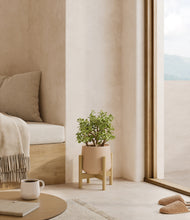 Load image into Gallery viewer, Calm Rose stand:bamboo