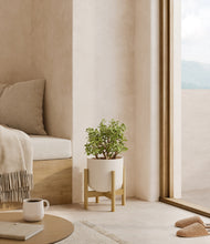 Load image into Gallery viewer, Natural Bamboo stand:bamboo