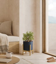 Load image into Gallery viewer, Deep Navy stand:bamboo