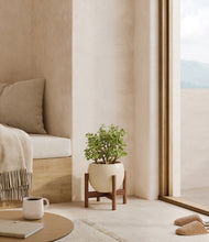 Load image into Gallery viewer, Shiny EggWhite stand:walnut