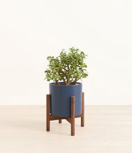 Load image into Gallery viewer, Deep Navy stand:walnut