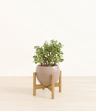 Load image into Gallery viewer, Desert Brown stand:bamboo