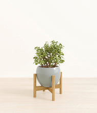 Load image into Gallery viewer, Deep Ocean stand:bamboo