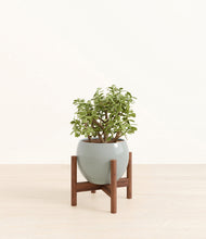 Load image into Gallery viewer, Deep Ocean stand:walnut