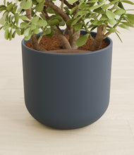 Load image into Gallery viewer, Iron Gray stand:all