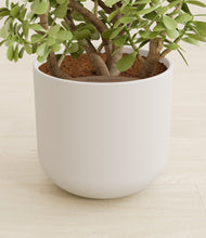 Load image into Gallery viewer, Natural Bamboo stand:all