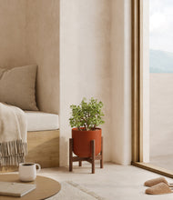 Load image into Gallery viewer, Earth Red stand:walnut