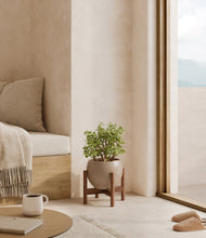 Load image into Gallery viewer, Desert Brown stand:walnut
