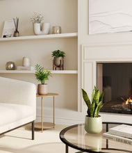 Load image into Gallery viewer, Earthy stand:one_stand