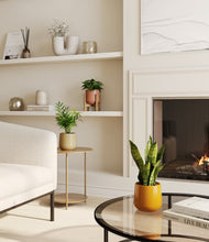 Load image into Gallery viewer, Evening Sky stand:one_stand