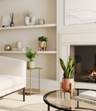 Load image into Gallery viewer, Lily Pad stand:two_stands