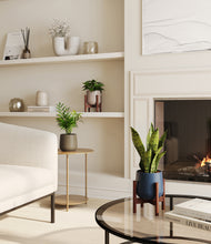 Load image into Gallery viewer, - stand:two_stands