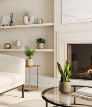 Load image into Gallery viewer, Woodland