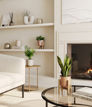 Load image into Gallery viewer, Peach Blossom stand:two_stands