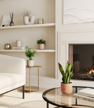 Load image into Gallery viewer, Peach Blossom