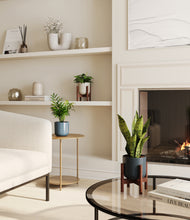 Load image into Gallery viewer, Pebble Shore stand:two_stands