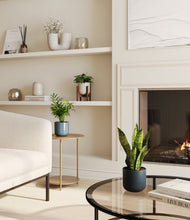 Load image into Gallery viewer, Pebble Shore stand:one_stand