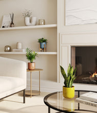 Load image into Gallery viewer, Pixie Petals stand:one_stand