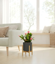 Load image into Gallery viewer, Dark Olive stand:bamboo