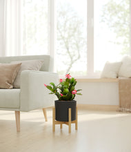 Load image into Gallery viewer, Black stand:bamboo