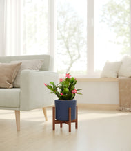 Load image into Gallery viewer, Deep Navy stand:walnut