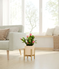 Load image into Gallery viewer, Cream stand:bamboo