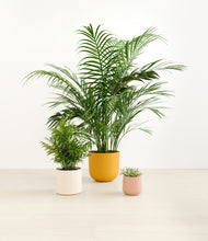 Load image into Gallery viewer, Evening Sky