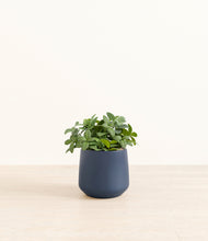 Load image into Gallery viewer, Deep Navy*****Profile