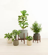 Load image into Gallery viewer, Woodland stand:two_stands