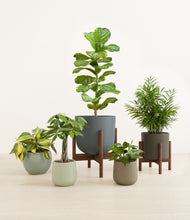 Load image into Gallery viewer, Countryside stand:two_stands