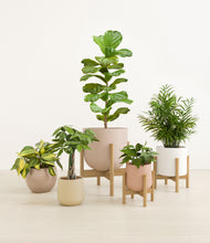 Load image into Gallery viewer, Sandy stand:three_stands