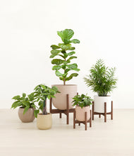 Load image into Gallery viewer, Sandy stand:three_stands