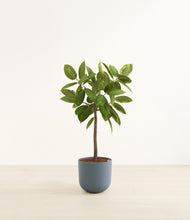 Load image into Gallery viewer, Iron Gray*****Profile