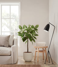 Load image into Gallery viewer, Natural Bamboo