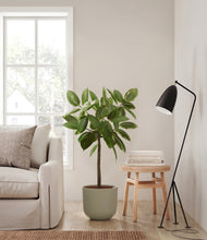 Load image into Gallery viewer, Sage Green