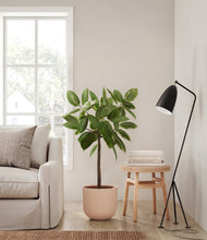 Load image into Gallery viewer, Sandy Pink