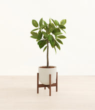 Load image into Gallery viewer, Natural Bamboo stand:walnut