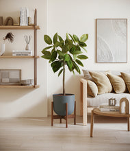 Load image into Gallery viewer, Iron Gray stand:walnut