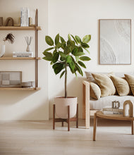 Load image into Gallery viewer, Sandy Pink stand:walnut