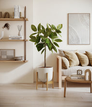 Load image into Gallery viewer, Natural Bamboo stand:bamboo