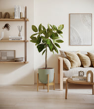 Load image into Gallery viewer, Sage Green stand:bamboo