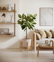 Load image into Gallery viewer, Sandy Pink stand:bamboo