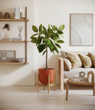 Load image into Gallery viewer, Earth Red stand:bamboo