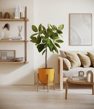 Load image into Gallery viewer, Sunset Orange stand:bamboo