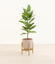 Load image into Gallery viewer, Sandy Pink stand:bamboo