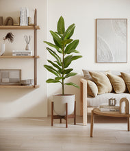 Load image into Gallery viewer, Natural Bamboo stand:walnut